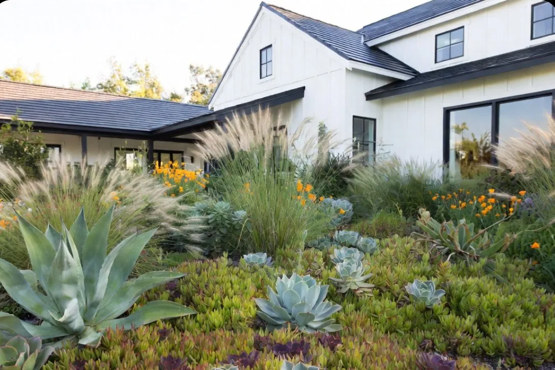 Drought-tolerant front yard Foster City